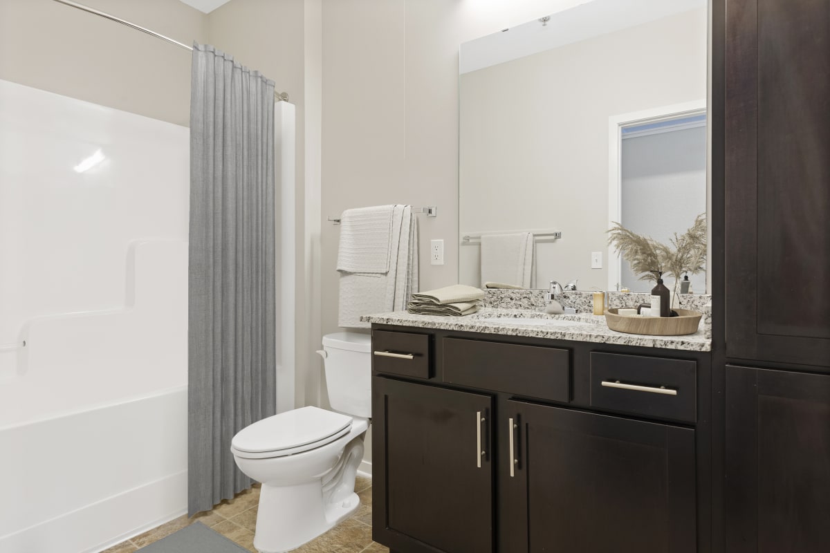 Apartments for Rent in North Loop, Minneapolis The Palmer